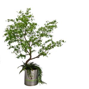 Nouvelle arrivée Offre Spéciale plantes nordiques simulées en plastique <span class=keywords><strong>Pieris</strong></span> Japonica petit <span class=keywords><strong>arbre</strong></span> pour la maison hôtel bureau paysage - Product Image 2