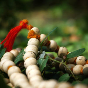 ชุดลูกปัดไม้ธรรมชาติมาลาสีขาว - Product Image 3