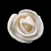 En stock – Plusieurs styles disponibles – Fleurs séchées en papier Sola Tongcao de 4 cm pour diffuseur de roseaux – Colorables et faciles à percer pour la décoration intérieure