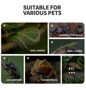 Jaulas para reptiles acrílicos con agujeros de respiración, terrario acrílico para lagarto nakes - Product Image 5