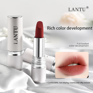 Best Quality New Nude Matte Lipstick <strong>Rossetto</strong> Luxury Most Selling Silver Lipstick Private Label Velvet Lipstick OEM - Product Image 3