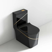 Toilette monobloc de luxe multicolore ligne or noire ensemble de cuvette de toilette monobloc en céramique