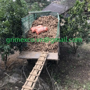 Légumes frais de haute qualité, y compris l'oignon laitue haricots concombre prix bon marché Offre Spéciale manioc congelé sans peau tout frais - Product Image 6