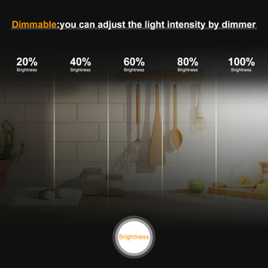 Esann <span class=keywords><strong>COB</strong></span> dẫn Dải nhà sản xuất mật độ cao đồng phục 10 wát/mét 3000K 4000K 6000K <span class=keywords><strong>COB</strong></span> dẫn Dải 12V/24V 8mm <span class=keywords><strong>COB</strong></span> dẫn dải đèn - Product Image 3