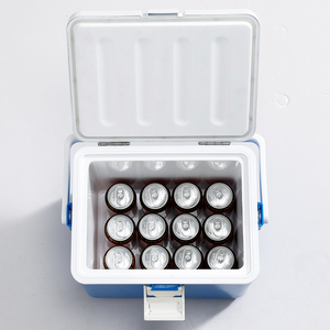 Nevera Portátil de Plástico de 15L con Capacidad para 24 Latas, para Bebidas, Cerveza, <span class=keywords><strong>Insulina</strong></span>, Mantiene de 2-8 Grados ℃   Nevera Portátil para Viajes - Product Image 5