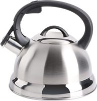 Vente en gros Bouilloire électrique en acier inoxydable satiné brossé pour la maison Théière à sifflet avec poignée en bakélite