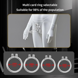 Western Sword Chastity Lock Threaded Catheter Urinating Penis Bondage Stainless Steel SM Chastity Device Male Sex <b>Toys</b> Wholesale - Product Image 5