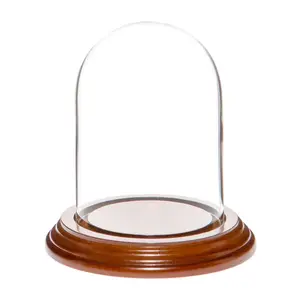 Klarglas Pflanzen Terrarium Dekor kleines Glas Cloche mit schwarzem Holzsockel Vitrine oval Glaskuppel Glockenbecher