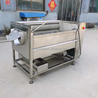 Automatische Borsteldata Reiniging Droge Groente Dragon Fruit Wasmachine