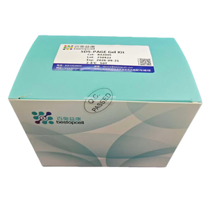 Kit Gel SDS-PAGE Siap Pakai |   Sistem Elektroforesis Gel Protein Pracetak - Product Image 4