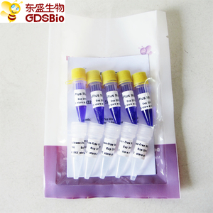 2x Plus mezcla <span class=keywords><strong>PCR</strong></span> maestro mezcla P2031-P2032 - Product Image 4