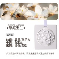 Diffuseur d'arômes en céramique DIY pour armoire, désodorisant floral, sans phtalates, écologique, parfum longue durée