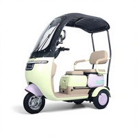 Tricycles électriques longue portée 60v 1000w pour passagers, tricycles électriques à 3 roues pour adultes avec toit