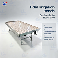 Table de culture hydroponique commerciale avec structure robuste, système d'irrigation par flux et reflux pour l'agriculture en serre à grande échelle