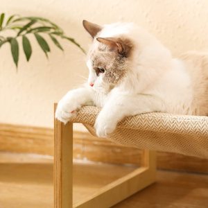 Chaise balançoire en bois pour la maison - Product Image 2