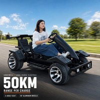 Kart électrique deux places, autonomie 50 km, roues en aluminium de 10 pouces, pour loisirs en plein air, parcs et fermes