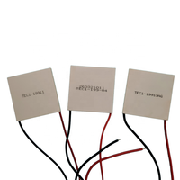 Module de refroidissement thermoélectrique haute puissance 24V, refroidisseur Peltier 40x40mm TEC119906 TEC119908 TEC119910