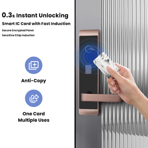 מנעול דלת מלון מהיר תגובה עם תוכנת ניהול, פתיחה באמצעות כרטיס, מנעול חכם ובטיחותי בצבע זהב, מנעול מלון אינטגרלי עם מפתח - Product Image 2