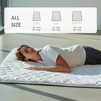 Lit au sol enroulable à mémoire blanche du fabricant chinois Matelas futon japonais pliable pour l'école, l'hôpital et la chambre à coucher