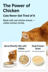 Vente en gros de nourriture humide pour chatons 375g boîtes pour animaux de compagnie avec saveur de poulet fournisseur de pâté de croquettes pour <span class=keywords><strong>chaton</strong></span> - Product Image 3