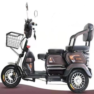 Tricycle électrique 800 watts à batterie au plomb, trois places, 3 roues, pour adultes - Prix de gros - Product Image 5