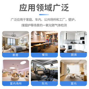 Portable Carbon Monoxide Detector ZN-MT21 Black White For Outdoor Garages Camping Car Monitoring - Product Image 3