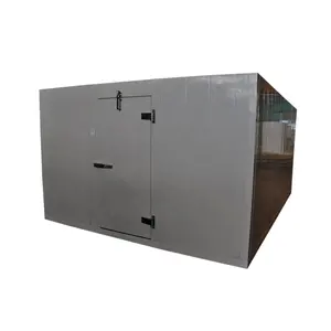 Customized Fish Meat Cold Chamber With PU Insulation Panels Door Cold Room Storage Automatic