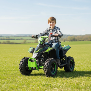 Quad mini ATV Tao Motor pas cher pour enfants, <span class=keywords><strong>50cc</strong></span>, transmission par chaîne, automatique, 2 temps, 2 roues motrices - Product Image 1