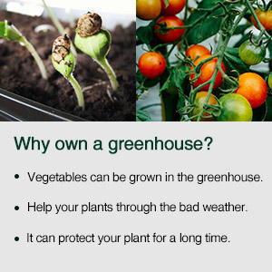 <span class=keywords><strong>Mini</strong></span> <span class=keywords><strong>serre</strong></span> intérieure et extérieure à 4 niveaux, étagères métalliques robustes et portables, <span class=keywords><strong>serre</strong></span> de jardinage pour plantes, <span class=keywords><strong>semis</strong></span>, herbes et fleurs - Product Image 5