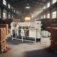 Machine automatique professionnelle de fabrication de briques creuses en argile rouge, équipement en acier inoxydable pour terre-ciment 380V