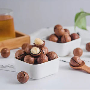 OEM çin fabrika orijinal yunnan hakkında iyi kalite macadamia fındık - Product Image 5
