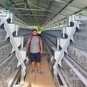टिकाऊ जस्ती एक प्रकार 3/4 स्तर की बैटरी अंडे की परत चिकन केज प्रणाली बड़े पैमाने पर पोल्ट्री फार्म के लिए - Product Image 2