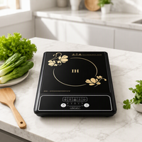Table de cuisson à induction en gros 1350W, puissance réglable, modes de cuisson multiples, arrêt automatique de sécurité, plaque chauffante électrique