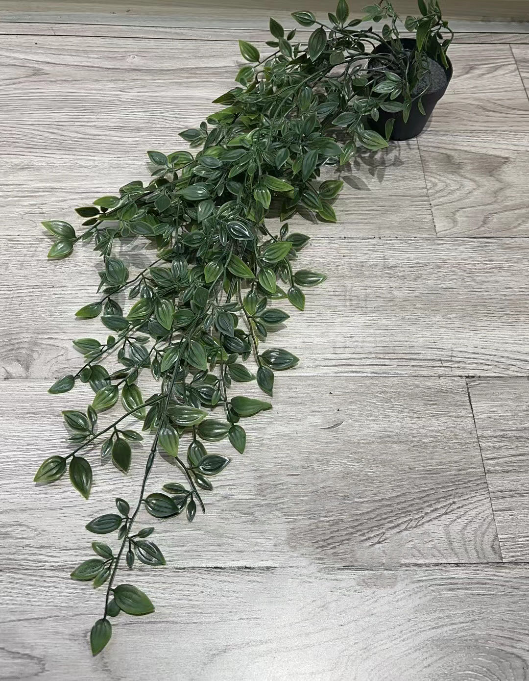 pflanzstab 120 cm Tonkinstäbe ca. 120 cm Ø 8-10 mm Pflanzstäbe Rankstäbe Bambusstab Stan –  Selbstversorgerladen main image 0
