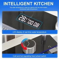 Évier de cuisine intelligent en acier inoxydable avec affichage numérique LED, édition 2025, multifonction, cascade moderne