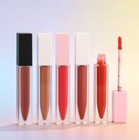 Marque Privée Personnalisée Sans Logo 24 Heures Super Séjour 20 Couleurs Rouge à Lèvres Rouge Crémeux Mat Liquide Imperméable À L'eau