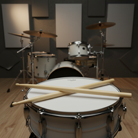 Customized Logo Wood Drumsticks Durable Bulk Musical Instruments & Accessories VIC Drumsticks