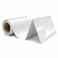 Film de protection en silicone PET blanc laiteux Tensfilm 25um, 5-20g/in, antistatique pour découpe de circuits imprimés FPC
