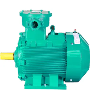 6Kv 10Kv 200-2000Kw Motor yüksek gerilim 2P 4P 6P 8P üç fazlı ExDLLbt4 Gb AC elektrik motoru