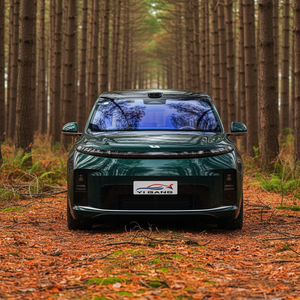 Li <span class=keywords><strong>Auto</strong></span> L9 Edizione Speciale EREV SUV LHD 6 Posti Lusso Famiglia EV Verde Scuro Metallizzato Veicolo da Esportazione - Product Image 2