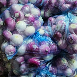 Trung Quốc tươi bóc vỏ hành tây hữu cơ hành tây trắng tỏi tươi hành tây đỏ vàng với số lượng lớn với túi lưới Xuất xứ giá tốt nhất - Product Image 6