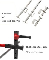 DINUO Cage de musculation multifonction en métal pour entraînement à domicile et powerlifting, avec fonction Lat Pulldown, capacité max. 300 kg