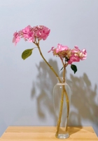 Vase en verre Transparent ornements salon bureau maison fleur Arrangement ornement fleur planteur hydroponique