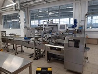 Boulettes congelées, petits pains, hamburgers Mochi Siomai, flux automatique, emballage d'oreiller, Machine à emballer les sacs, boîte de fabrication, mouvement, thermoscelleuse 1600
