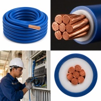 Kabel Tembaga Murni 600/1000V BV BVR BVV Berisolasi PVC 25mm2 35mm2 untuk Konstruksi Bangunan, Kabel Utama