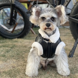 Chaqueta Clásica de Invierno para Perros, Abrigo Grueso sin Mangas para Teddy, Schnauzer, Bichón, Maltese, <span class=keywords><strong>Yorkshire</strong></span>, Hecho de Poliéster - Product Image 5