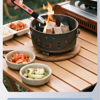 Briquet à arc plasma rechargeable USB-C de qualité supérieure, coupe-vent, avec indicateur LED, pour barbecue, camping et tâches d'allumage en extérieur
