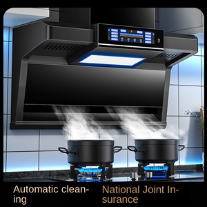 กระโปรงหน้ารถปล่องไฟไฟฟ้าแบบมืออาชีพดีไซน์ทันสมัยสแตนเลสหรูหรา - Product Image 4