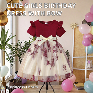 ชุดลำลองน่ารักหวานๆ สำหรับเด็ก ชุดวันเกิด คอทรงโอ แขนสั้น ระบายอากาศได้ดี ความยาวระดับเข่า ทรงเอ แต่งโบว์ ผ้าทูลล์ แบบเจ้าหญิง - Product Image 2