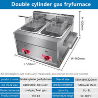 Friteuse à Gaz Industrielle pour Frites, Poulet Frit, Friteuse Commerciale en Vente